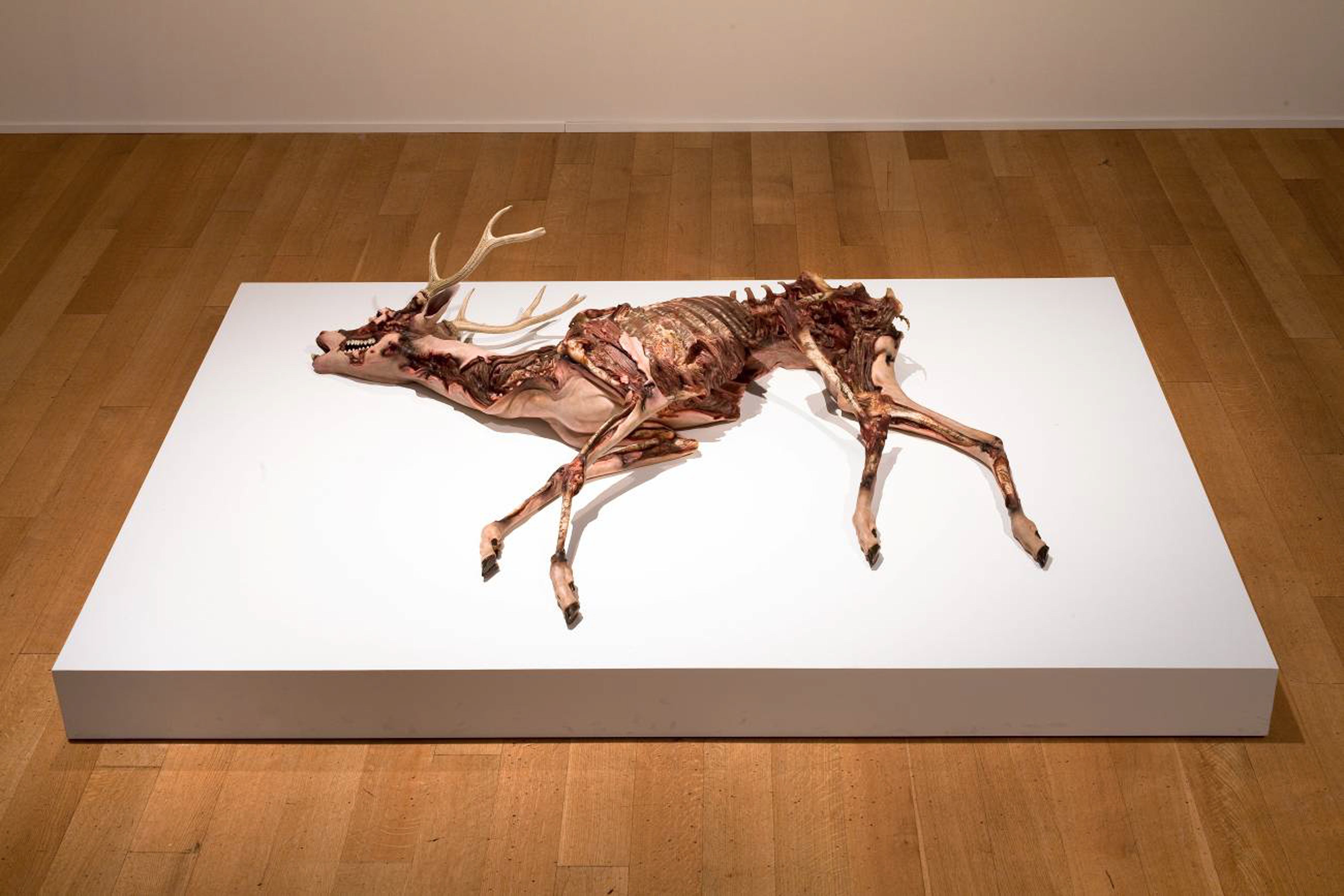 Death and Poetry in Plastic: Erick Swenson at the Nasher ...