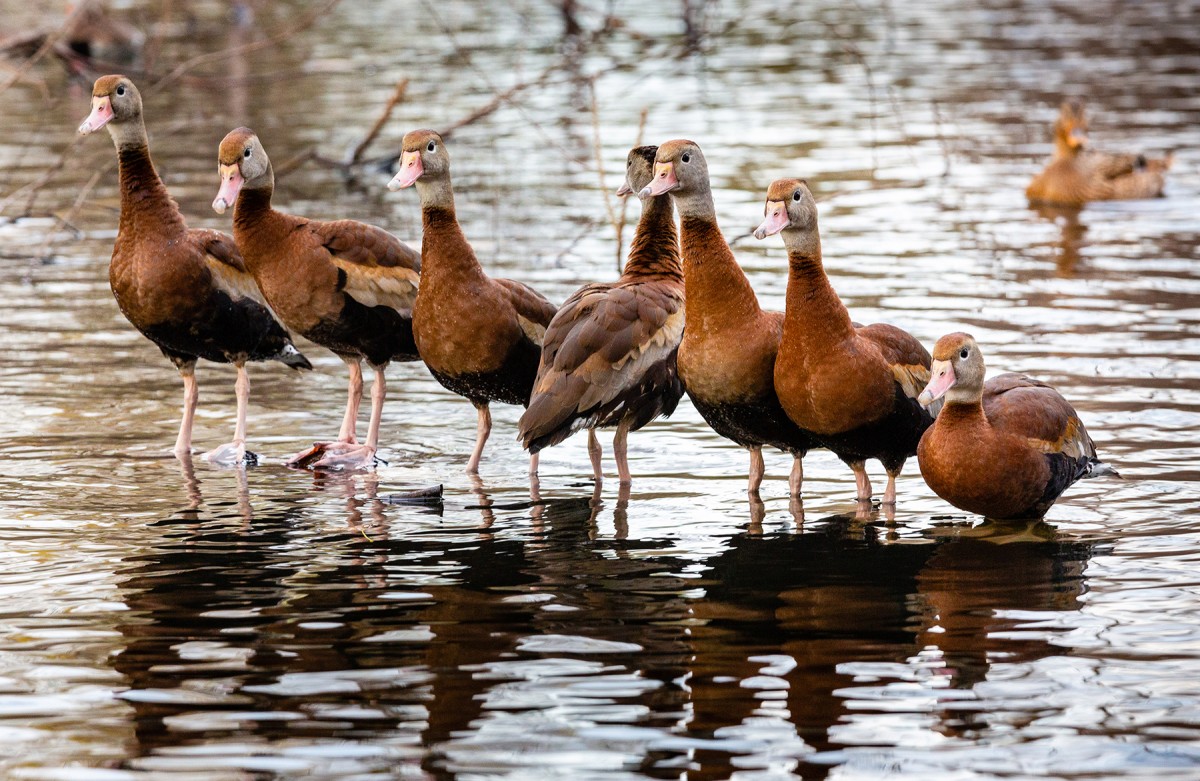 Different View by Jan Dreskin-Haig
