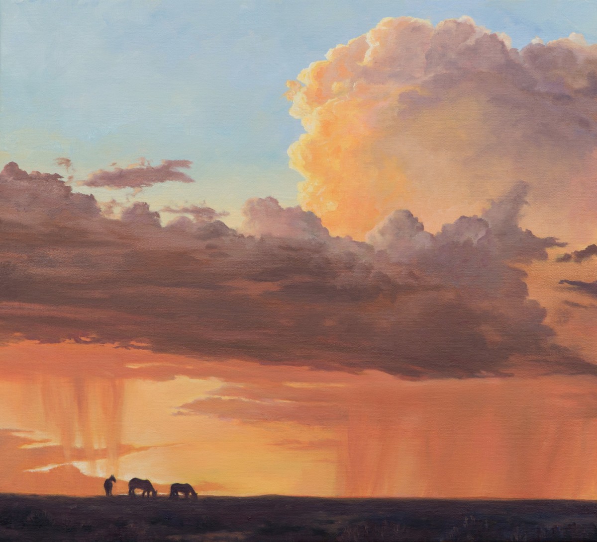 Katelyn Betsill - tucson-doldrums