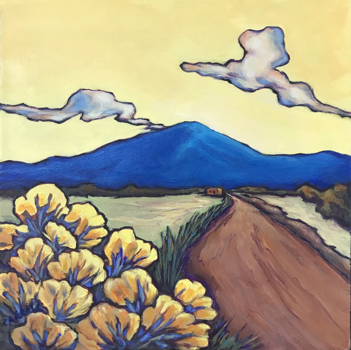 Debbie Carroll - blue-mountains-and-chamisa