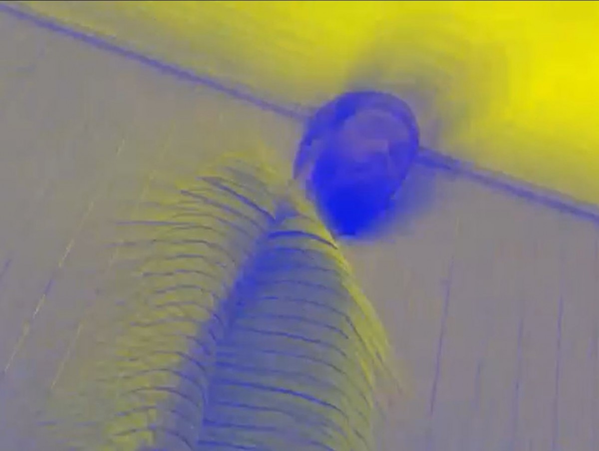 Fort Worth Rapper and Producer Arkatype