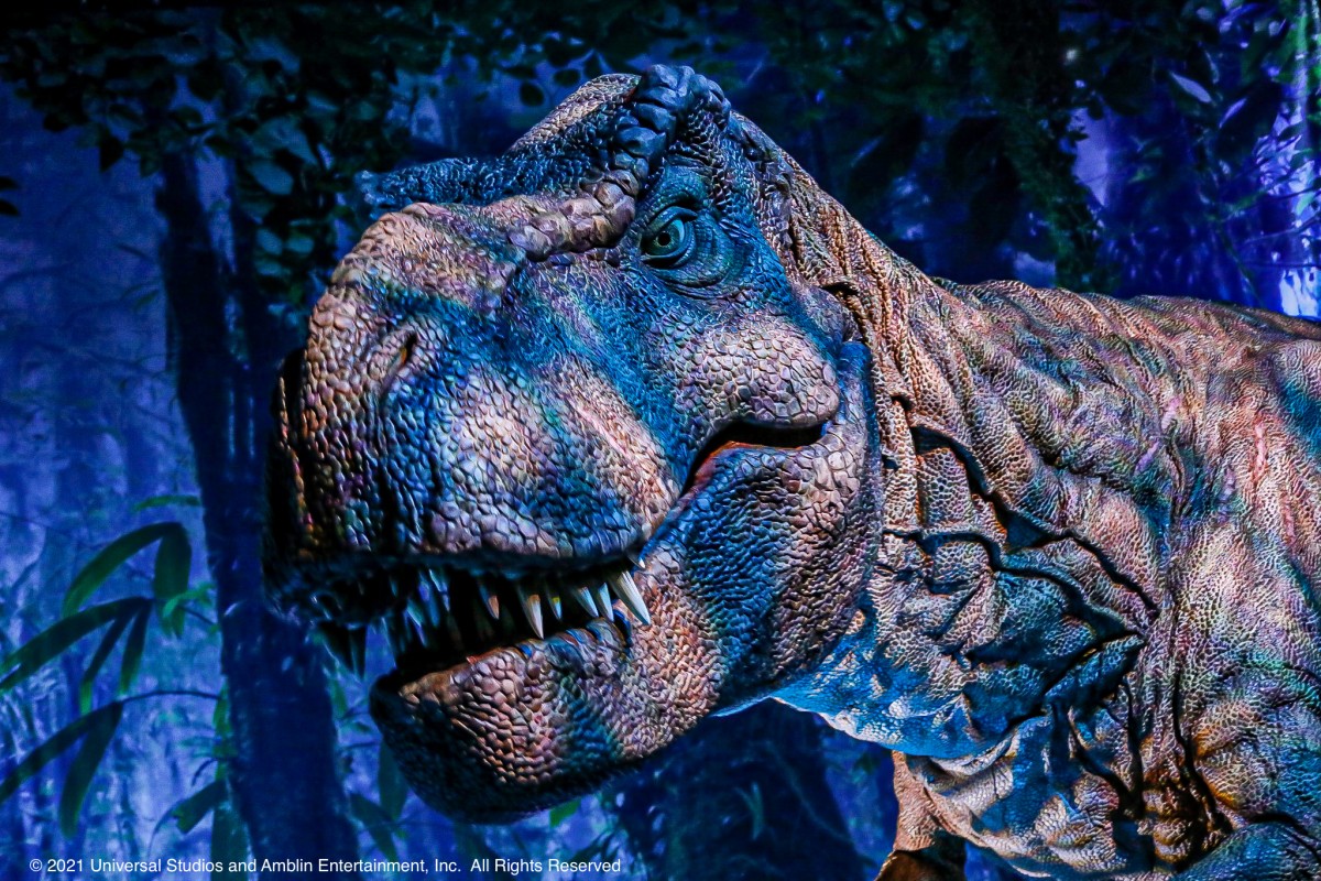 Jurassic World The Exhibition Art Seek Arts Music Culture For North Texas