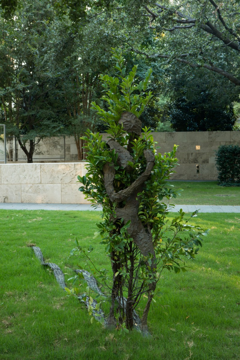 Sientiero 6 (Path 6), 1986 Kevin Todora