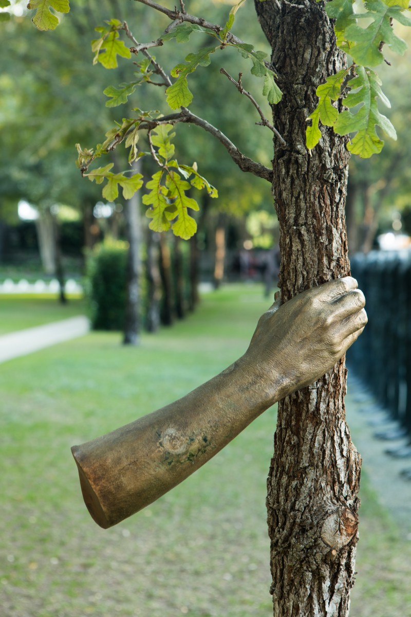 Continuera a crescere tranne che in quel punto (It Will Continue to Grow Except at That Point), 1968 Kevin Todora