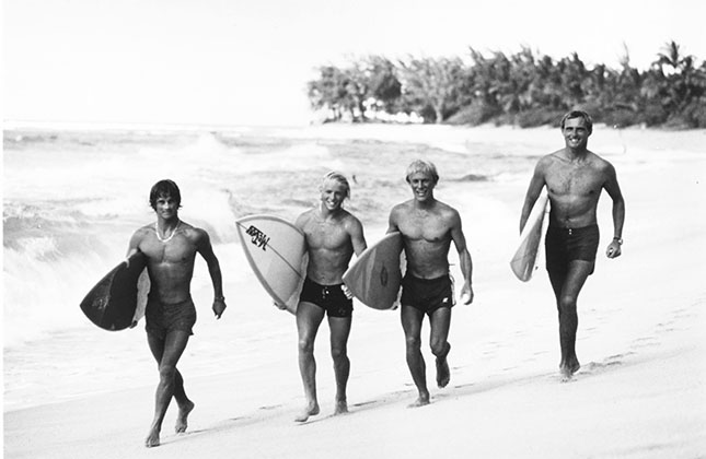 The Endless Summer, 1966