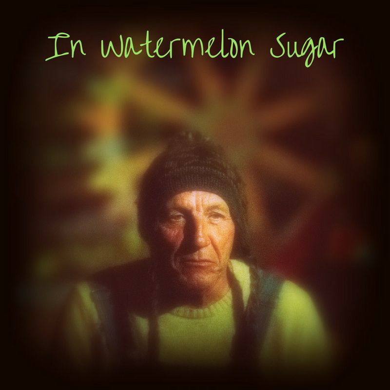 Photo by: Robert Bourdage