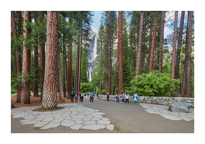 Image 2: Yosemite Falls Corridor, Yosemite National Park, CA, 2016. Courtesy The Cultural Landscape Foundation, Photo -© Philip Bond.