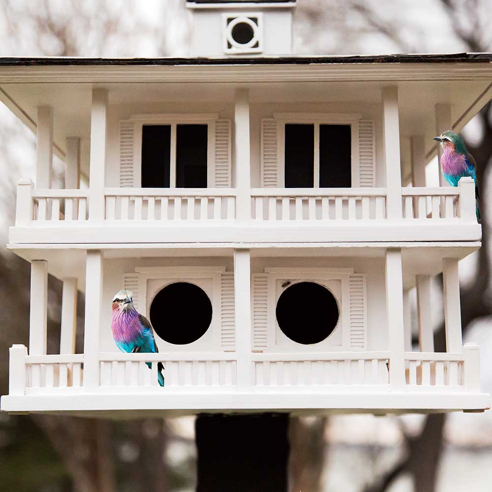 Cordelia Bailey at Elm Street Studio, Keller