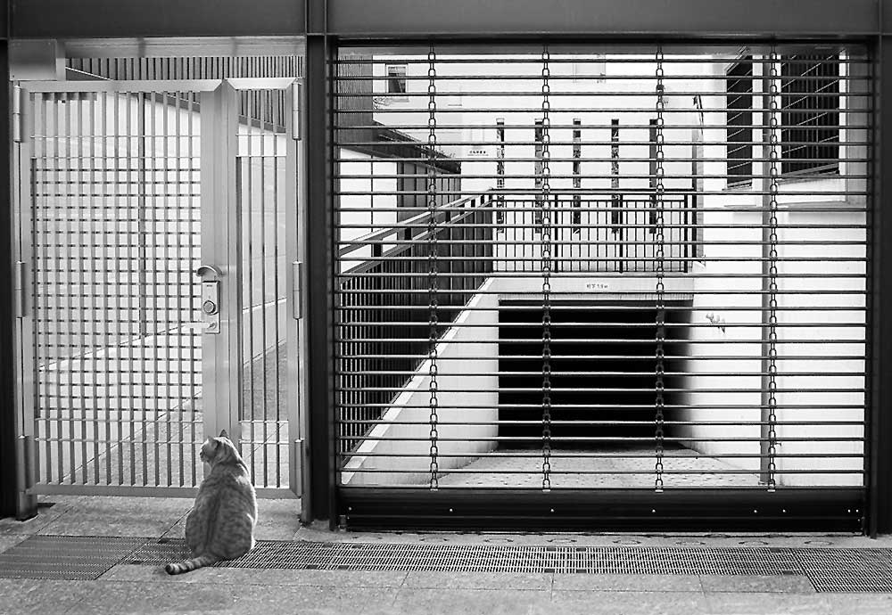 Cordelia Bailey at Elm Street Studio, Keller