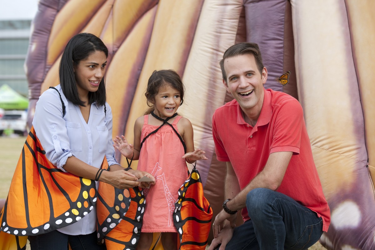 Flight of the Monarch