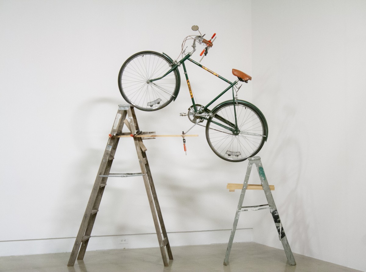 Francisco Josué Alvarado Araujo