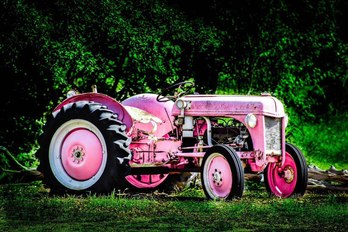 KC Hulsman Photography