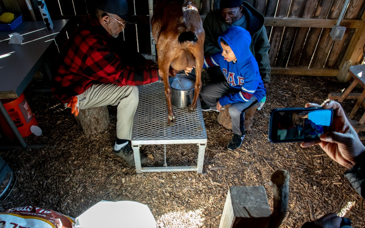 Volunteers at Service Saturday