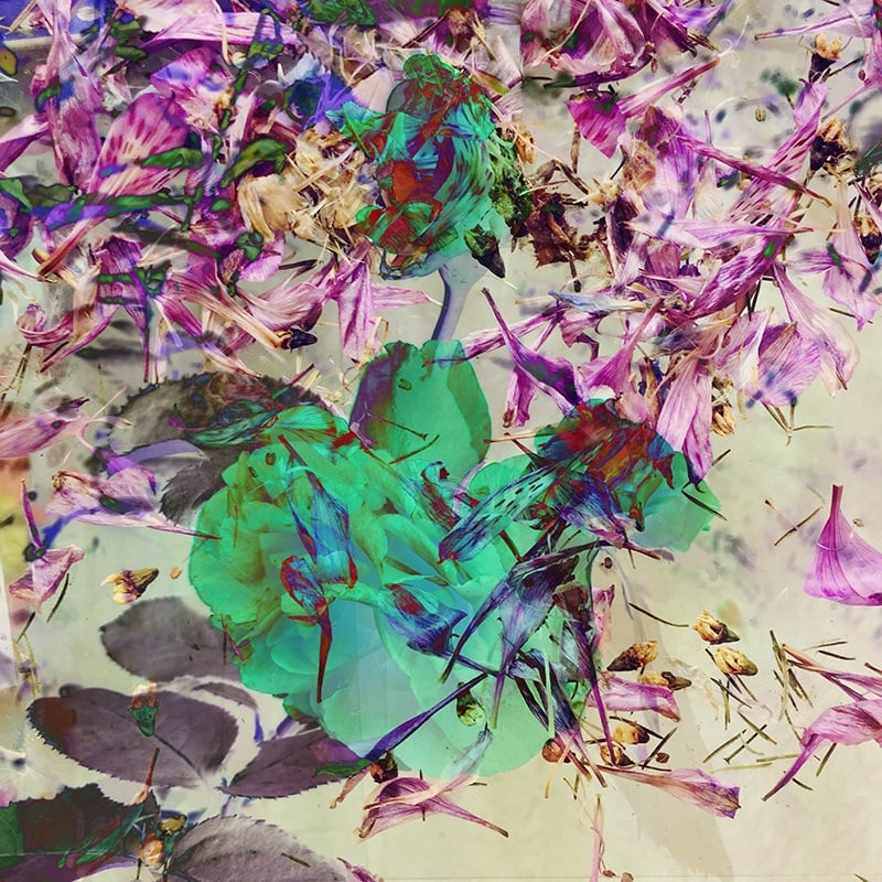 Portrait of Shamsy by @Exploredinary