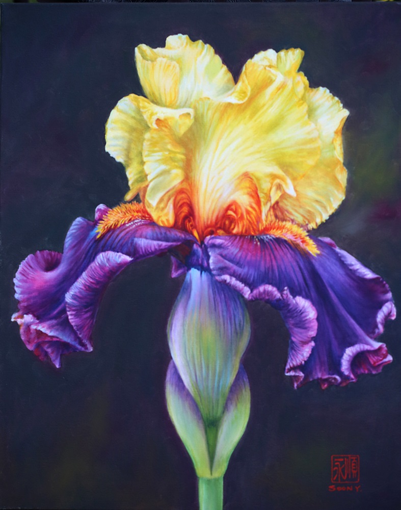 Country charm; iris - Soon Warren