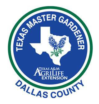 Dallas County Master Gardeners Art Seek Arts Music Culture