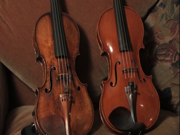 smaller-violins