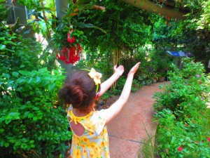 Hold still for the butterflies at Texas Discovery Gardens. Photo: Therese Powell