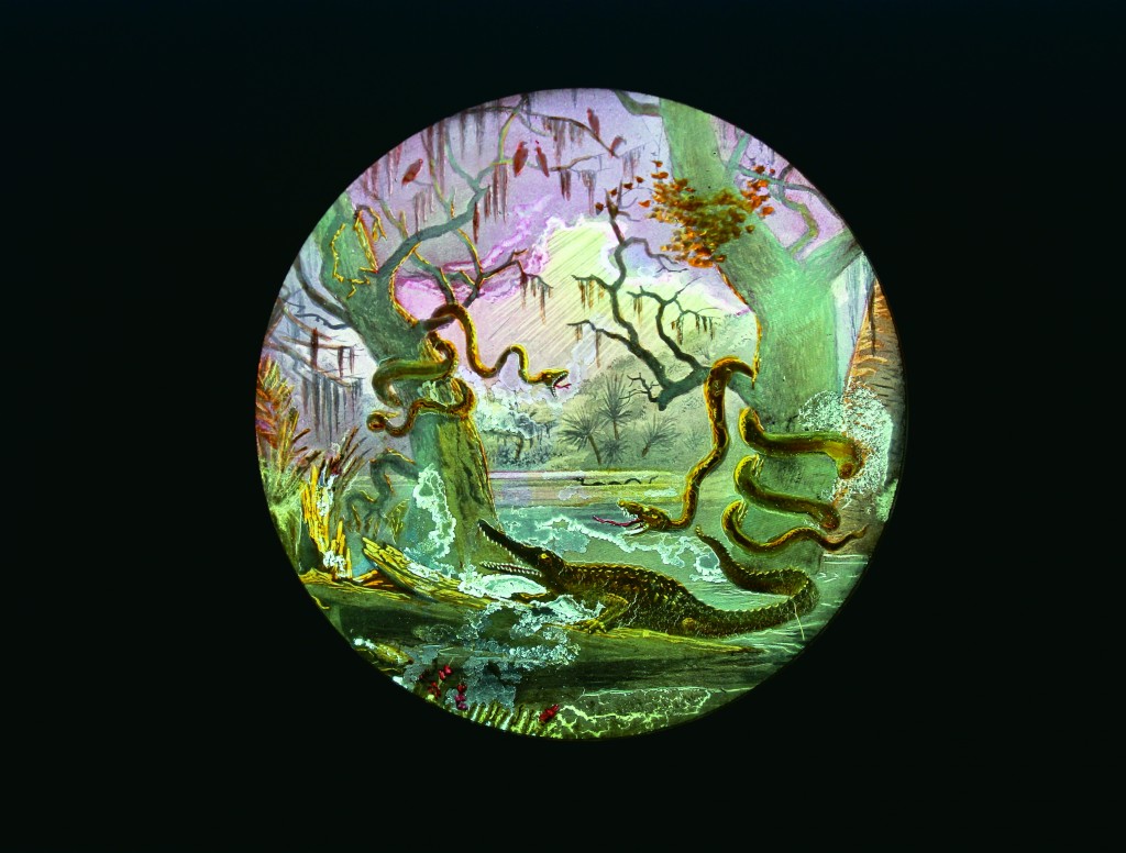 Where Hideous Things Slither and Climb, hand-colored magic lantern slide, Knights of Pythias, 1890­1900 Webb Collection