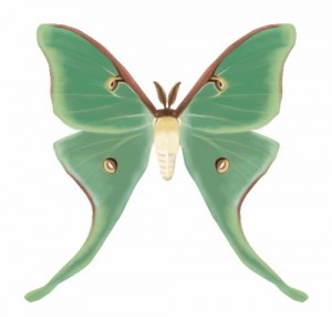 Luna Moth by Karen Vanderpool-Haerle