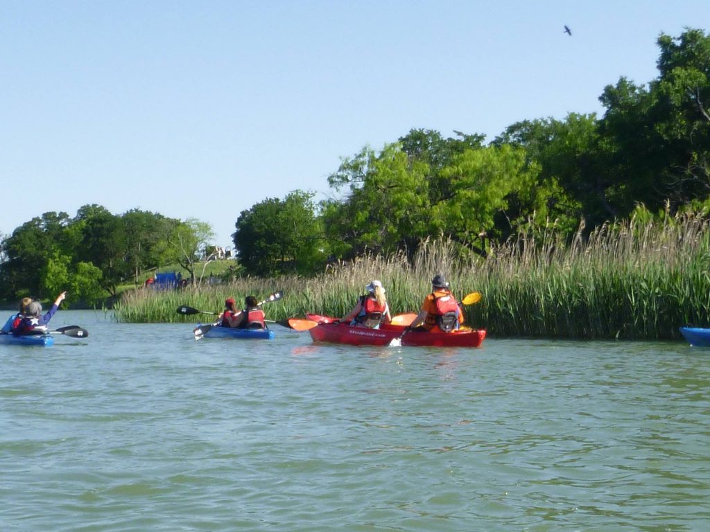 Look for the early birds this Saturday morning from a kayak. Photo: Dogwood Canyon Audubon Center at Cedar Hill 
