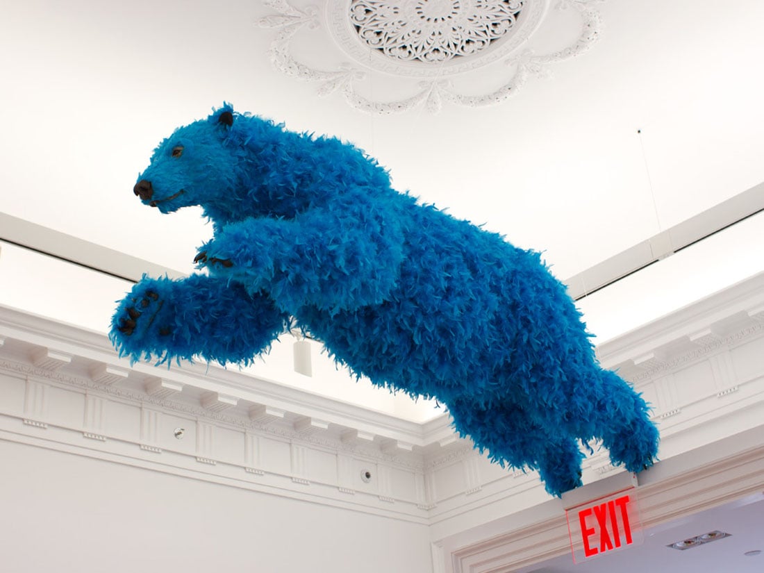 Paola Pivi's Feathered Bear at Galerie Perrotin