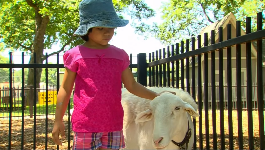 Take your kids to see the kids at Fritz Park Petting Farm. Photo: City of Irving