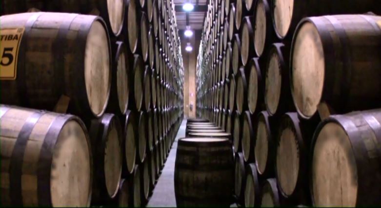 Tequila exports have sky rocketed. Mexico Exports about 300 million liters per year.