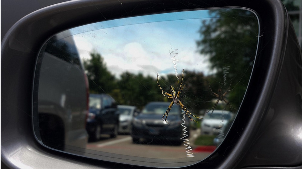 Mirror Surfing