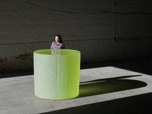 Untitled - Roni Horn