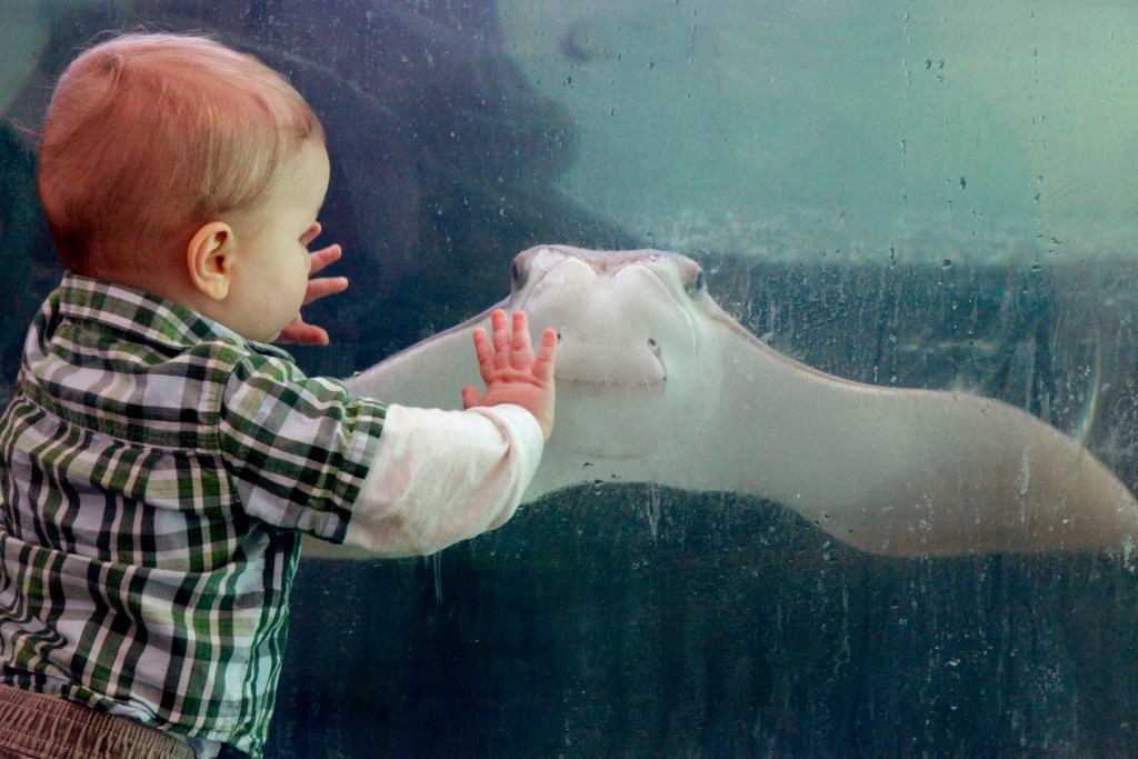 Photo: Children's Aquarium at Fair Park