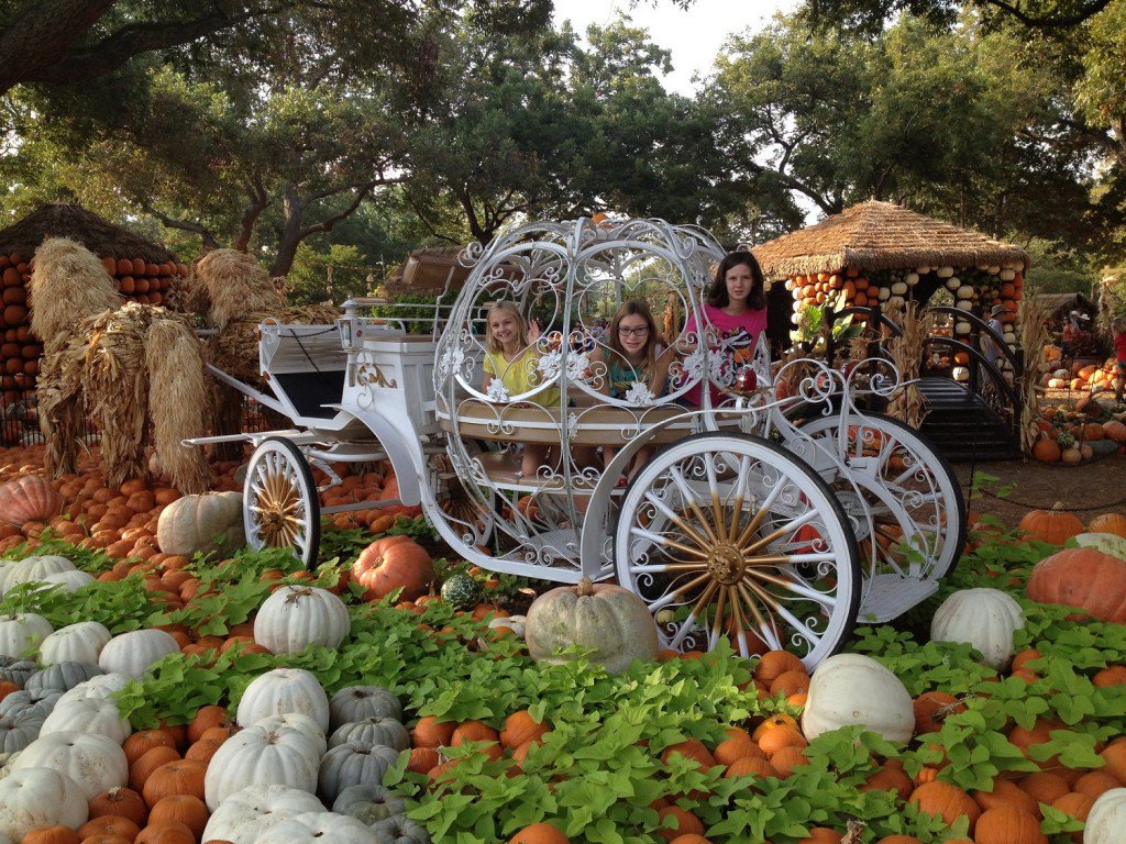 Art&Seek Jr: Hurry Up The Autumnal Season With These Fall Festivals