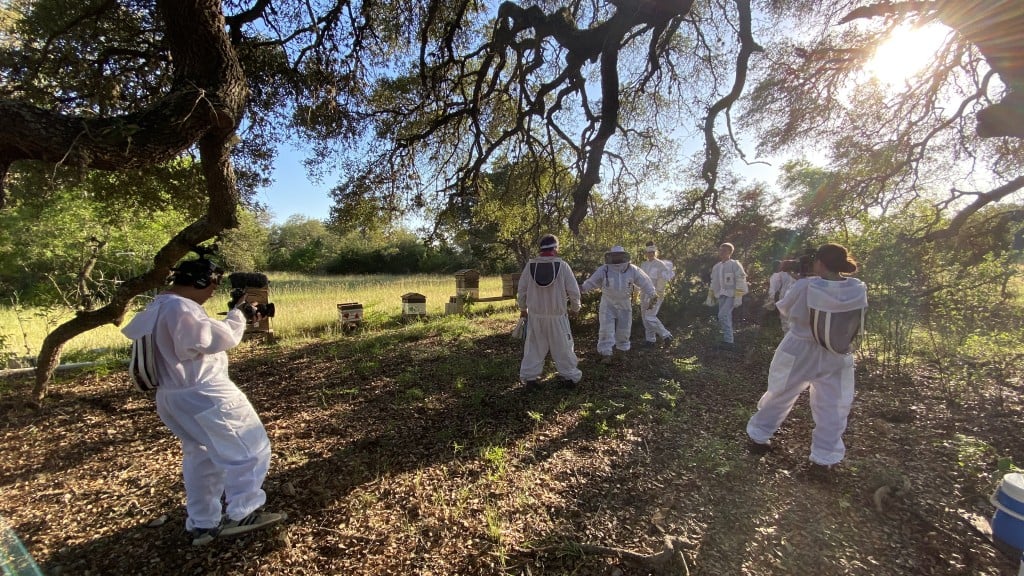 Neither stings nor summer heat can stop this Texas beekeeper from saving wild bees in his new reality show